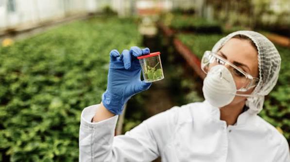 Agro Chemicals